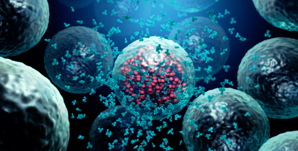 How Immune System Fights Against Viruses