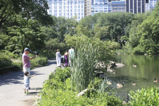 What Fungal Research Reveals About Biodiversity in Urban Environments